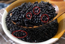 黑料不打料入口,探寻网络世界的真实与虚假
